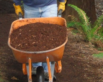 Mercer Slough Work Party