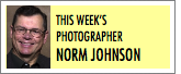 This week's photorapher