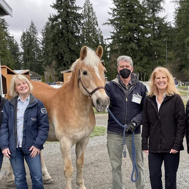 Four adults stand outdoors with a light brown horse, supporting our causes. One person holds the horse’s reins and wears a mask. Trees and small buildings are in the background; all look happy and are dressed for cool weather.